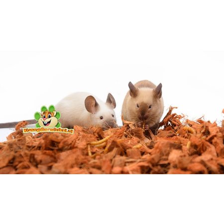 The Natural Pet Brand Coconut N Coconut Kokoschips Bodendecker