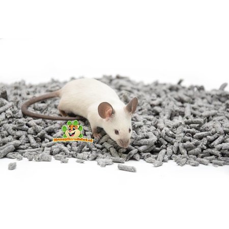 Powrót 2 Natura Okrywowa dla gryzoni