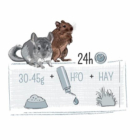 Witte Molen PUUR Chinchilla & Degoe 2 kg | Nourriture pour chinchilla et nourriture pour degoe