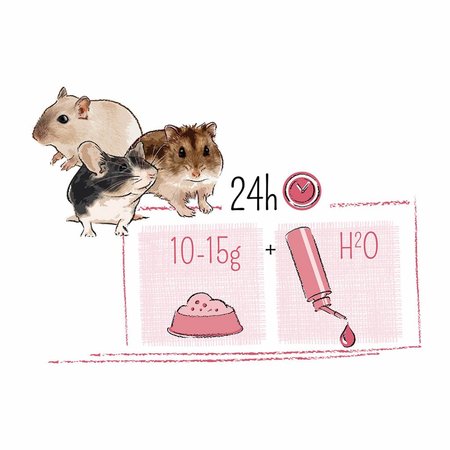 Witte Molen PUUR Mini-Hamster & Friends Aliment pour hamsters nains 400 grammes