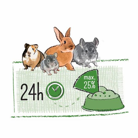 Witte Molen PUUR Pauze Snack Muesli