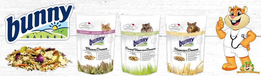 bunny nature rodent food