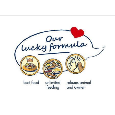 Bunny Nature GerbilDroom Expert Rennmausfutter 500 Gramm Natürliches Rennmausfutter