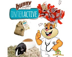 Bunny Nature Interactive