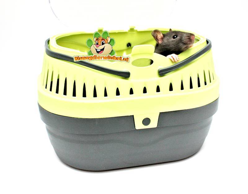 Safe transport with a transport box for rodents and rabbits