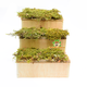 Wooden Staircase House 42 cm for Rats & Guinea Pigs