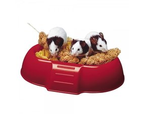 Comederos para ratones