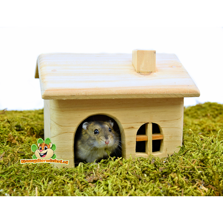 Trixie Plain Wooden House 15 cm for Mice & Dwarf Hamsters