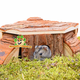 Trixie Casita de esquina Thordis de 21 cm para ratones y hámsteres enanos