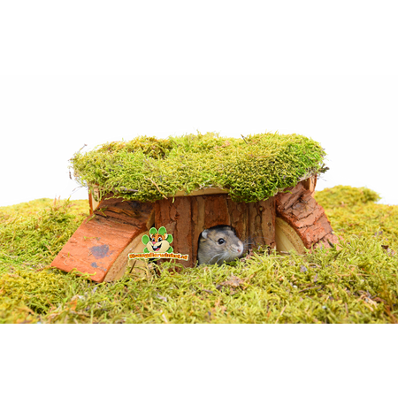 Trixie Casita de esquina Thordis de 21 cm para ratones y hámsteres enanos