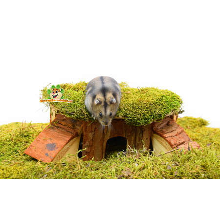 Trixie Corner house Thordis 21 cm