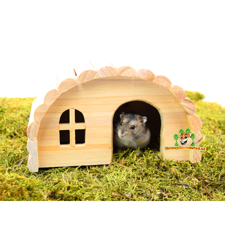 Trixie Weißes Holz-Iglu-Haus für Nagetiere
