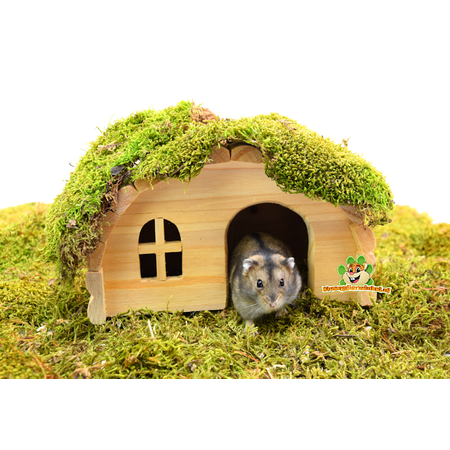 Trixie White Wooden Igloo House for Rodents