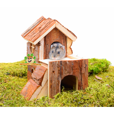 Trixie Casa Bjork de 15 cm para ratones y hámsteres enanos