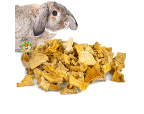 Snacks pour Lapin Légumes Secs