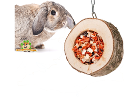 Jouets actifs Snacks pour lapins