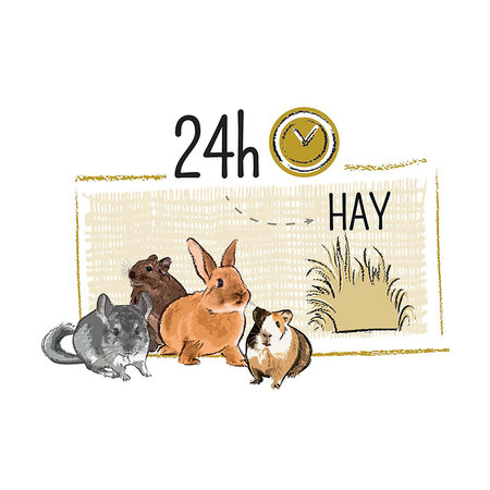 Witte Molen PURE Wiesenheublumen 500 Gramm