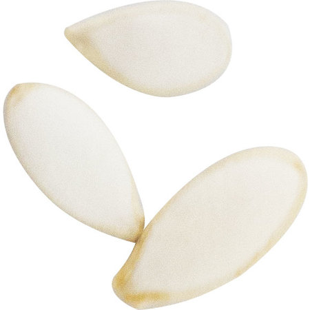 JR Farm Back to Instinct Snack Labyrint