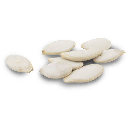 JR Farm Back to Instinct Snack Labyrint