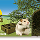 JR Farm Retour au labyrinthe de friandises Instinct pour petits rongeurs