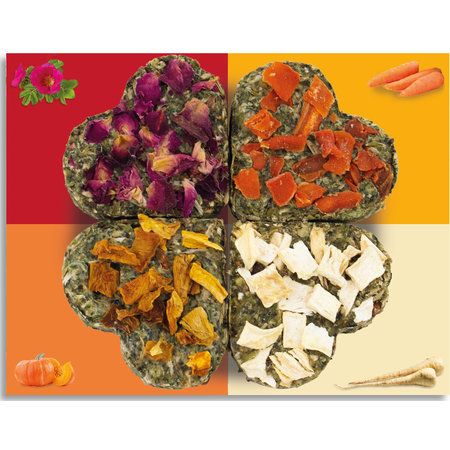 JR Farm Cuarteto de felicidad sin granos