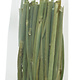 JR Farm Dill Sticks 15 grams