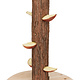 Trixie Foerageer Voerboom 36 cm voor Knaagdieren & Konijnen
