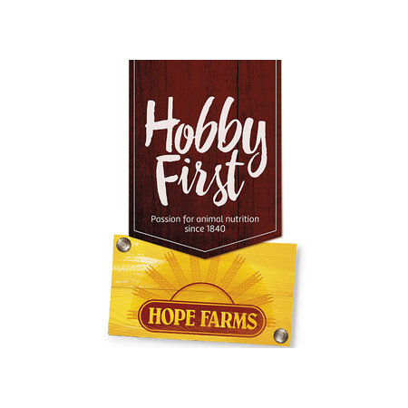 HobbyFirst Hope Farms Balance du cochon d'Inde