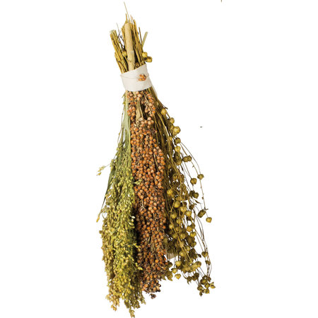 JR Farm Recolección y cosecha con mosca