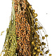 JR Farm Recolección y cosecha con mosca