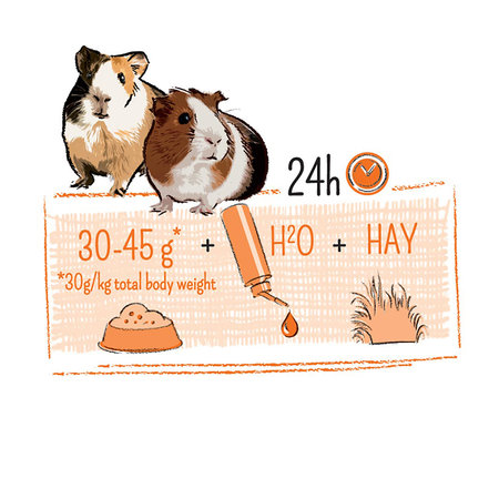 Witte Molen PURE Guinea Pig Food - Natural Guinea Pig Food