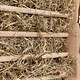 Trixie Huis Ila 40 cm met Hooiruif voor Cavia’s & Kleine Konijnen