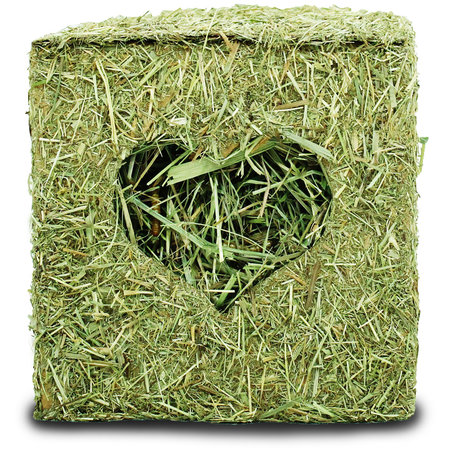 JR Farm Cubo de forrajeo con heno y gusanos de la harina 12 cm