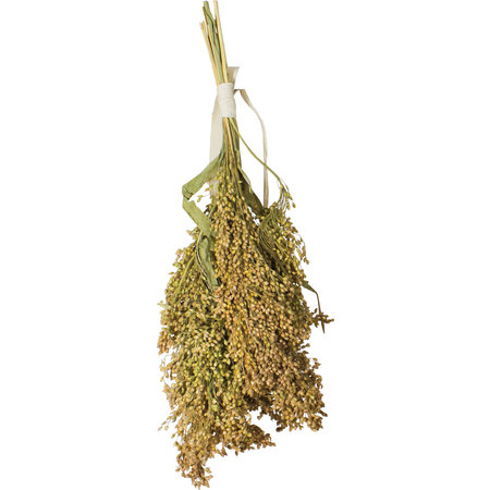 JR Farm Zbiór prosa dla gryzoni i ptaków