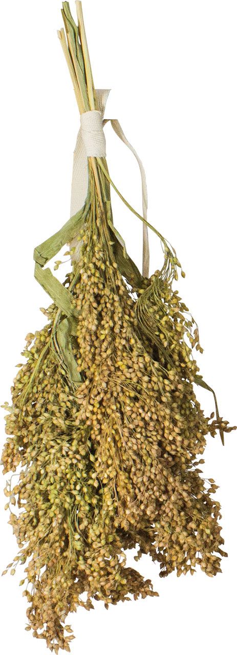JR Farm Feather millet
