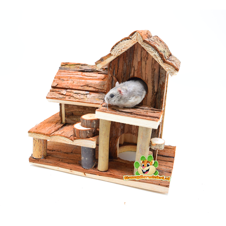 Naturalny żywy domek dla chomika Birte 25 cm