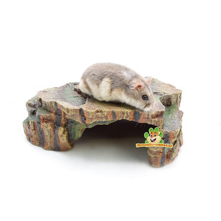 Trixie Refugio de selva tropical 22 cm