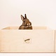 Bunny Nature DiggingBox ¡Cubo de excavación de 50 cm para roedores y conejos!