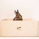 Bunny Nature DiggingBox Seau à creuser 50 cm pour Rongeurs & Lapins !