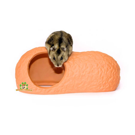 Terracotta House 21 cm for Rodents!