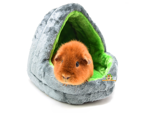 Coussins et paniers pour cochons d'Inde