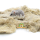 Hempflax Hemp Nesting Material for Rodents & Birds!