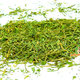 Dried Parsley Stems for Rodents and Rabbits
