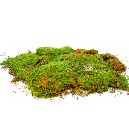 Trixie Dried Moss for Hamsterscaping & Gerbilscaping