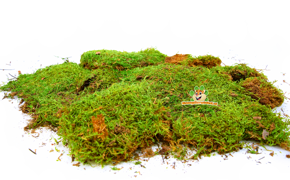 Trixie Moss 200 grams