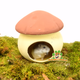 Elmato Maison champignon en terre cuite pour rongeurs !