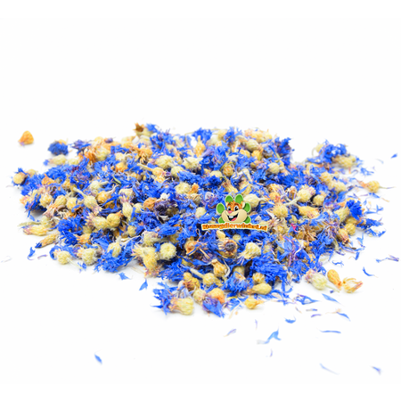 Gedroogde Korenbloem Blauw voor Knaagdieren en Konijnen