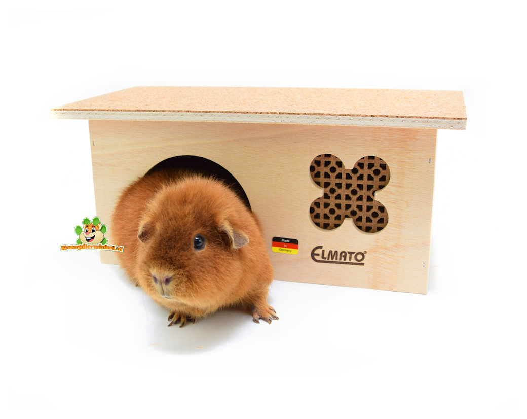 guinea pig house