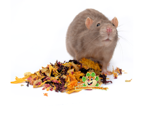 Herbes et graines pour rats