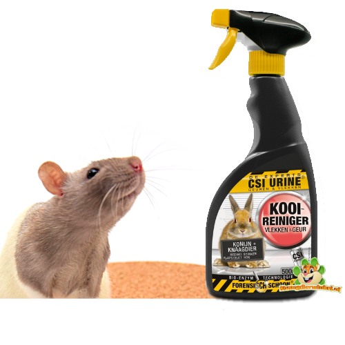 Rat domestique – soins et nettoyage, choix d'une cage propre